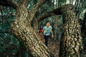 BIB: 
                            <button type="button" onclick="openModal(25392612)" class="btn btn-primary btn-sm float-right btn-popup" data-toggle="modal" data-target=".modal-high-quality">
                        <i class="fas fa-shopping-cart"></i> Add to Cart
                    </button>
                                            <button type="button" onclick="isThisMe(25392612, true)" class="btn btn-success btn-sm float-right btn-popup btn-isme hidden" data-toggle="tooltip" data-placement="bottom" title="นี่คือรูปของคุณใช่ไหม คลิกที่นี่เพื่อเอาเข้าอัลบั้ม">
                        <i class="fas fa-plus"></i> Add to album
                    </button>
                    <button type="button" onclick="isThisMe(25392612, false)" class="btn btn-warning btn-sm float-right btn-popup btn-isnotme hidden">
                        <i class="fas fa-ban"></i> Remove from album
                    </button>